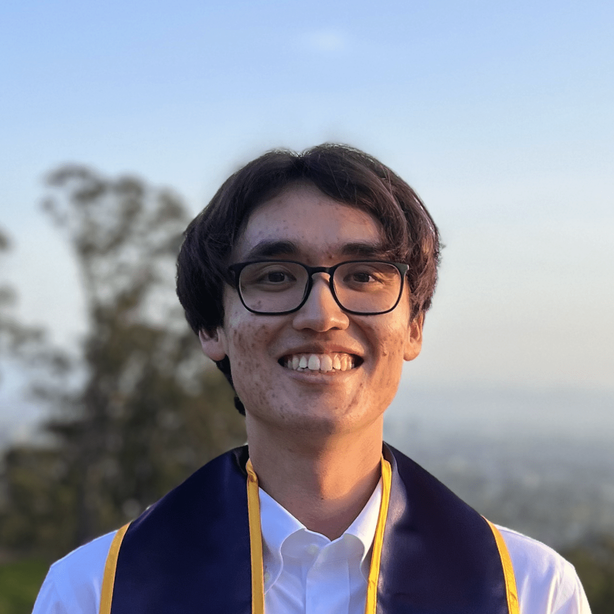 Hansen Jin Lillemark